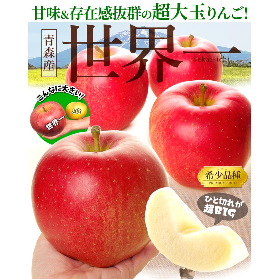 りんご 10kg 青森産 世界一 ご家庭用 送料無料 食品 : s-fs3147 : 食
