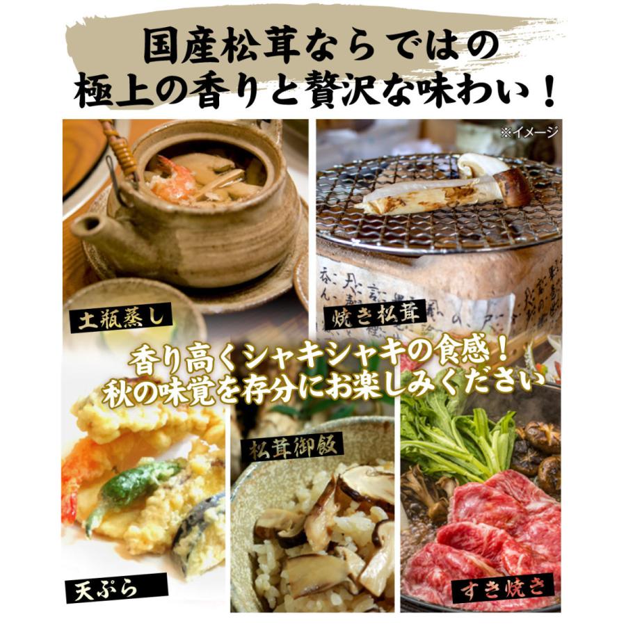 松茸 約150g 石川・長野産 国産 松茸(1〜6本)1箱 ご家庭用 送料無料 まつたけ 開き 食品 野菜 国華園 :s-fs3159:食みらい・国華園 - 通販 - Yahoo!ショッピング 松茸 約150g 石川・長野産 国産 松茸(1〜6本)1箱 ご家庭用 送料無料 まつたけ 開き 食品 野菜 国華園 :s-fs3159:食みらい・国華園 - 通販 - Yahoo!ショッピング