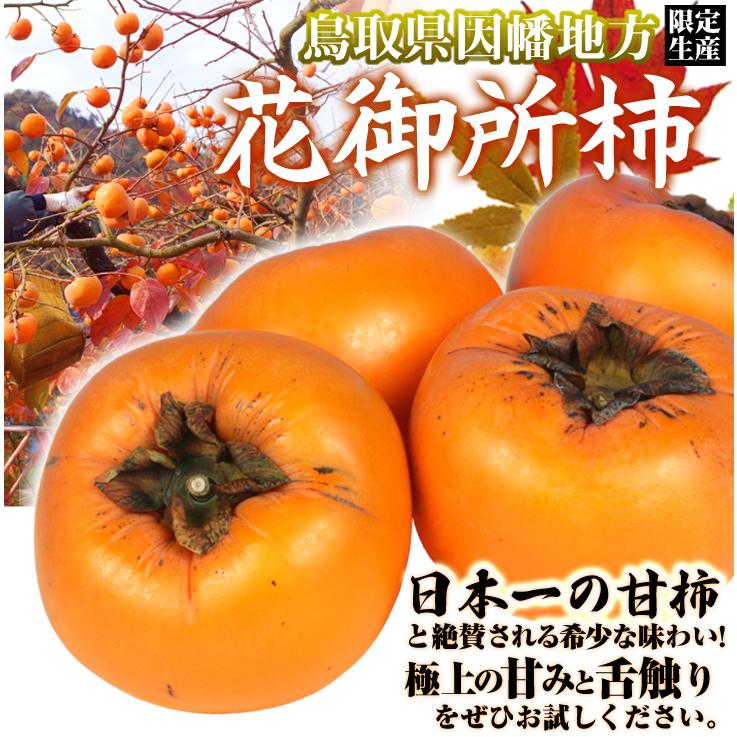 柿 5kg 鳥取産 花御所柿 はなごしょ メーカー直売 1箱 ご家庭用 国華園 かき フルーツ 送料無料 食品 果物