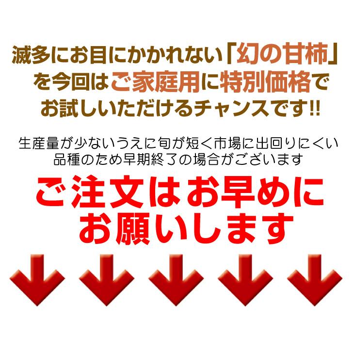 最大77%OFFクーポン ふるさと納税 浜松市 テルの次郎柿 長寿郎 10玉〜16玉入り 3L〜M ※早期終了有り ふるさと納税 12月から順次発送 鮮度保持袋入り テルの次郎柿『長寿郎』10玉〜16玉入り 静岡県浜松市