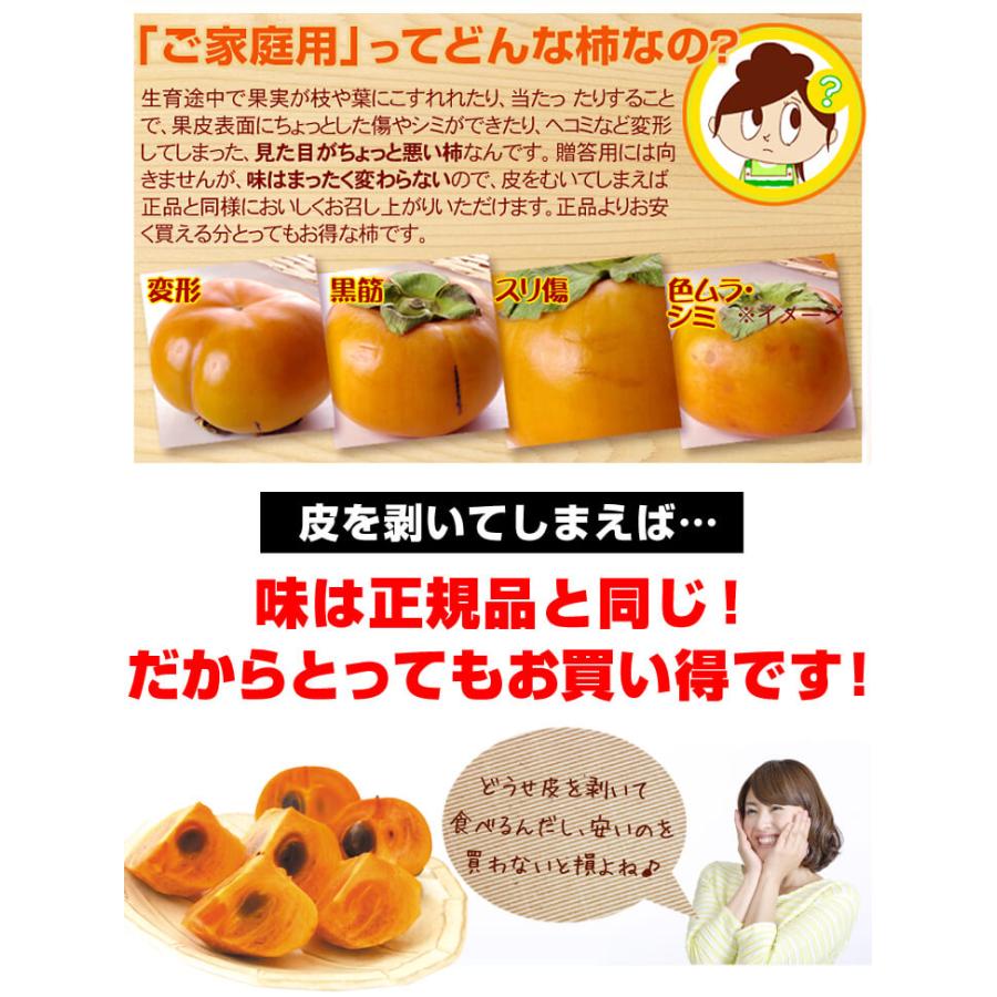 柿 15kg ご家庭用 富有柿 和歌山・奈良産 送料無料 食品_4