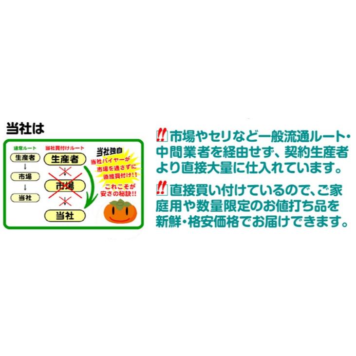 柿 7.5kg 富有柿 和歌山産 ご家庭用 送料無料 食品｜seikaokoku｜08