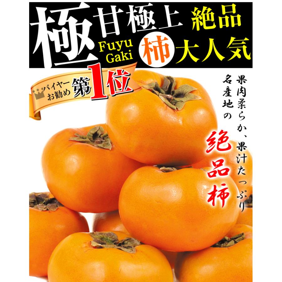 柿 7.5kg 富有柿 和歌山産 ご家庭用 送料無料 食品｜seikaokoku｜03