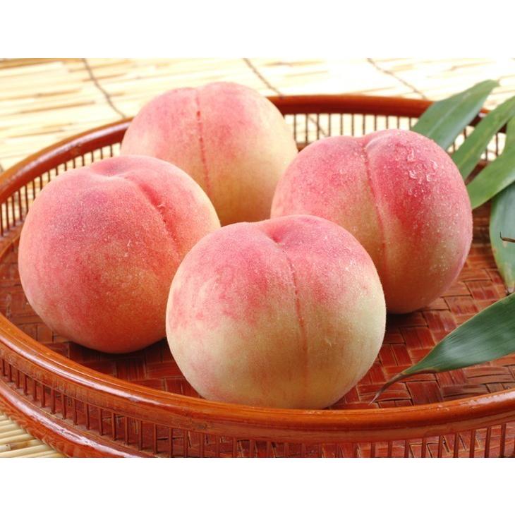 もも 和歌山産 ご家庭用 あら川の桃 3.5kg 送料無料 食品 : 食みらい