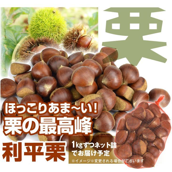 栗　熊本産　10kg 中から大サイズを送ります。 栗の商品一覧｜通販・お取り寄せ・販売【ぐるすぐり】