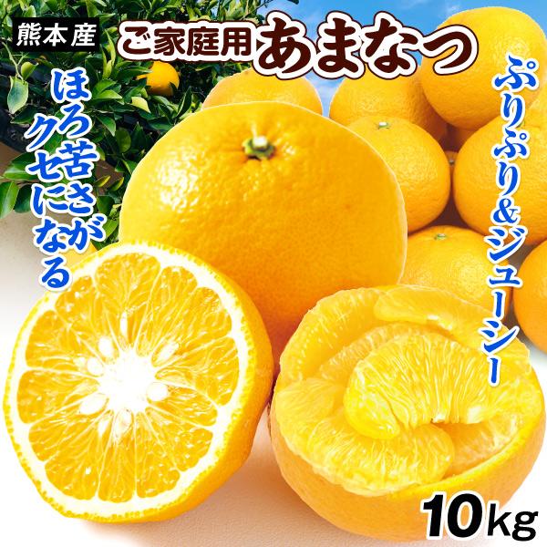 みかん 10kg 甘夏 ご家庭用 熊本産 春柑橘 あまなつ ジューシー