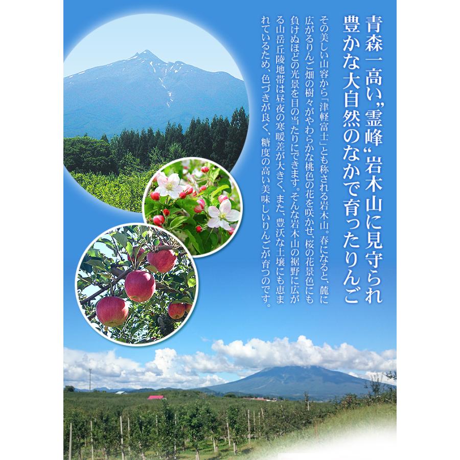 りんご 10kg 星の金貨 青森産 送料無料 食品 : 食みらい・国華園