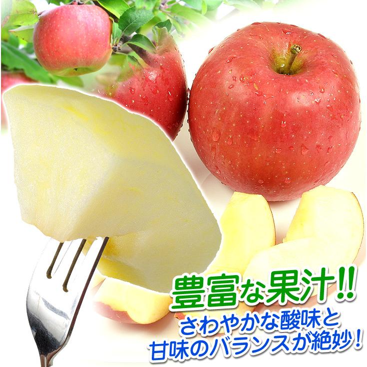 りんご 10kg みちのく サンふじ 山形産 ご家庭用 ふじりんご 送料無料