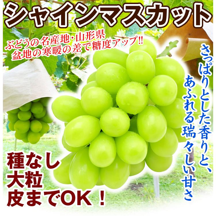 ぶどう シャインマスカット 2房 (約1.2kg) 山形産 ご家庭用 葡萄 種なし 大粒 皮ごと葡萄 ブドウ フルーツ くだもの 食品 国華園｜seikaokoku｜03