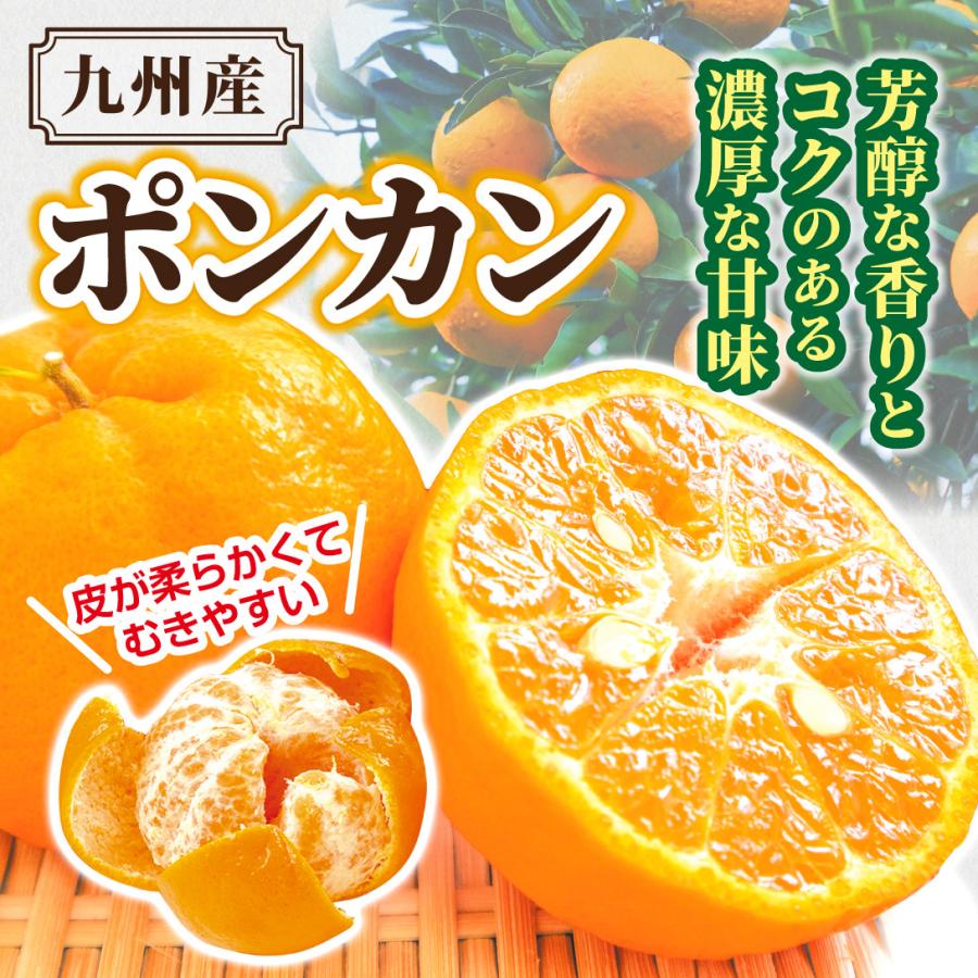 16.せとかみかん10キロ　九州〜中部料金 みかん 10kg ポンカン 九州産 ご家庭用 蘆柑 椪柑 東洋のベスト