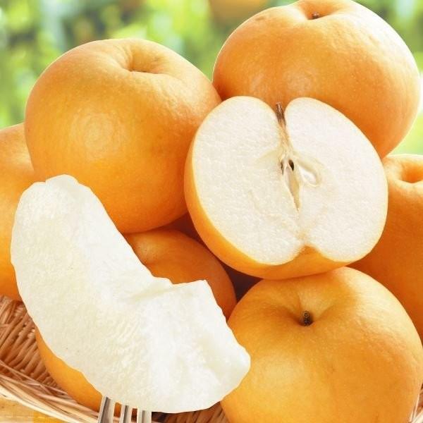 梨 10kg 名産地の新興梨 ご家庭用 送料無料 食品 : 食みらい・国華園
