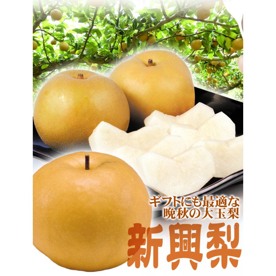 梨 10kg 名産地の新興梨 ご家庭用 送料無料 食品 : 食みらい・国