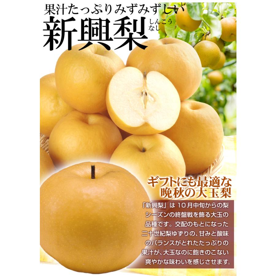 梨 10kg 名産地の新興梨 ご家庭用 送料無料 食品 : 食みらい・国華園
