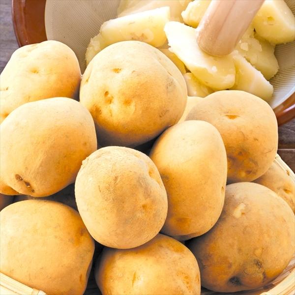 お取り寄せ じゃがいも kg 10kg 2箱 北海道産 男爵いも M L 送料無料 だんしゃく芋 野菜 食品 国華園