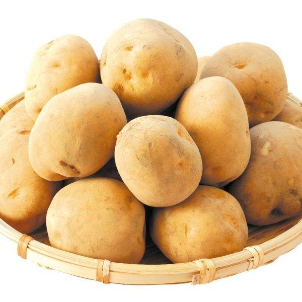 じゃがいも 20kg(10kg×2箱)北海道産 男爵いも(M〜L) 送料 じゃがいも 20kg(10kg×2箱)北海道産 男爵いも(M〜L) 送料