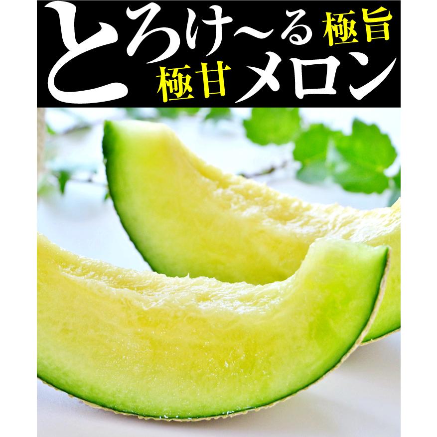 メロン 熊本産 ご家庭用 アンデスメロン 約4kg 送料無料 食品 メロン 熊本産 ご家庭用 アンデスメロン 約4kg 送料無料 食品