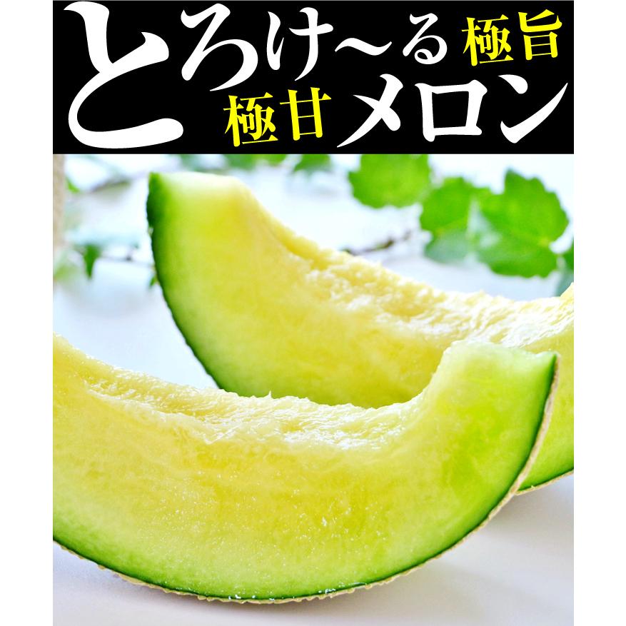 メロン 約4kg アンデスメロン 熊本産 ご家庭用 送料無料 食品｜seikaokoku｜02