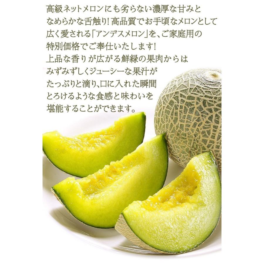 メロン 熊本産 ご家庭用 アンデスメロン 約4kg 送料無料 食品