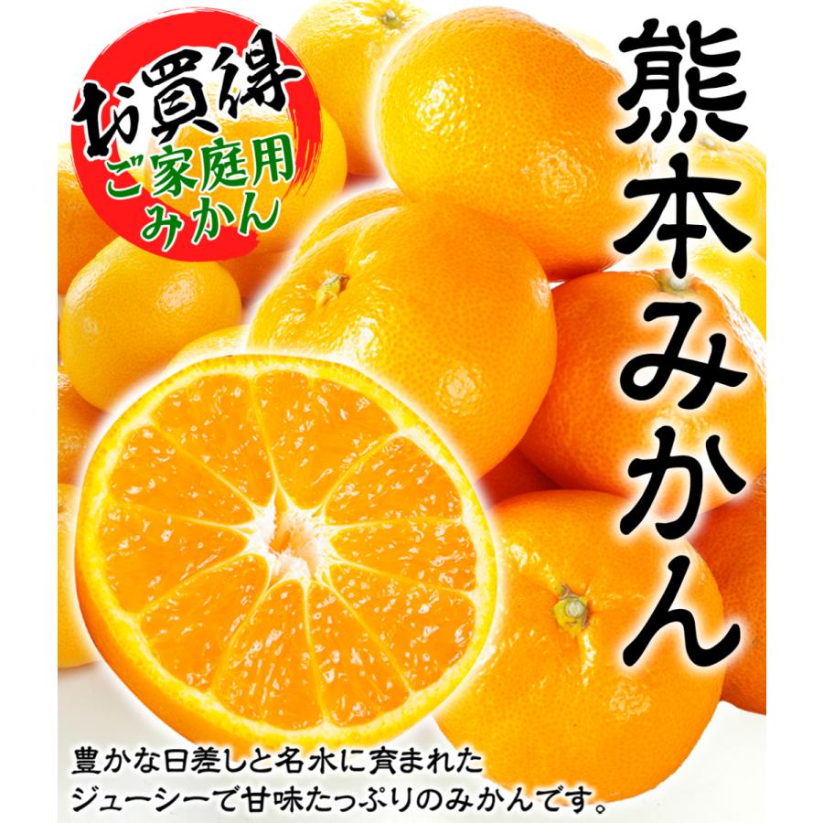 みかん ご家庭用 熊本産みかん 10kg 送料無料 蜜柑 柑橘 フルーツ 果物 食品 国華園 S Fs3432 食みらい 国華園 通販 Yahoo ショッピング