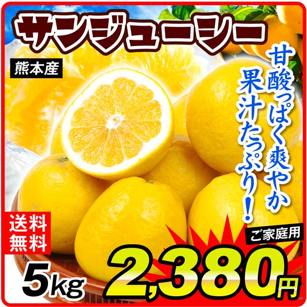 みかん 熊本県産 サンジューシー 5kg ご家庭用 河内晩柑 和製グレープフルーツ かわちばんかん 柑橘 フルーツ 国華園 S Fs3434 食みらい 国華園 通販 Yahoo ショッピング
