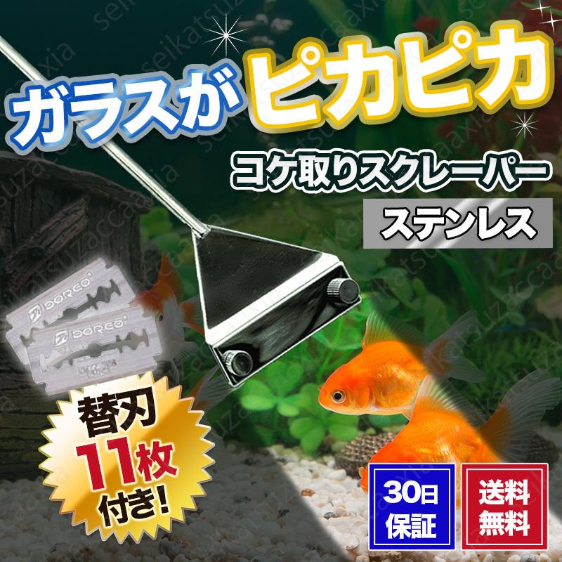 コケ取り スクレーパー 水槽掃除 アクアリウム プロレイザー クリーナー Scraper 生活雑貨axia 通販 Yahoo ショッピング