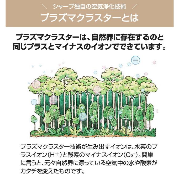 工事費込みセット エアコン福袋 ルームエアコン 冷房/暖房：10畳程度  プラズマクラスター付き　クーラー AIRCON-10-AR 2022年モデル｜seikatsudo｜17