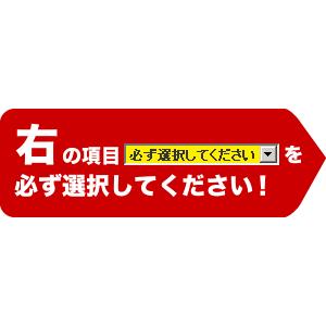 工事費込みセット LGRシリーズ クリーンフード レンジフード 幅60cm リンナイ LGR-3R-AP602-SV シロッコファン シルバーメタリック｜seikatsudo｜02