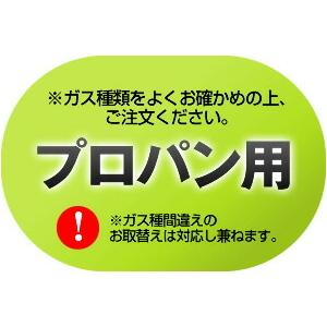 Fami　ファミ　オートタイプ　ビルトインコンロ　ノーリツ　N3WT6RWANASIC-LPG　ダブル高火力　幅60cm