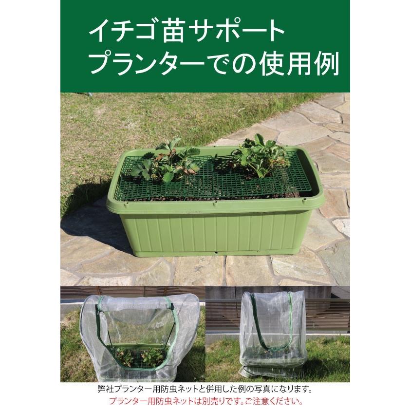 イチゴ支え・いちご棚・いちご支柱（いちご苗サポート） 1個 : 生活工