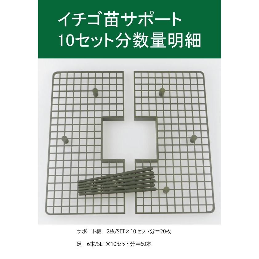 イチゴ支え・いちご棚・いちご支柱（いちご苗サポート） 10個セット