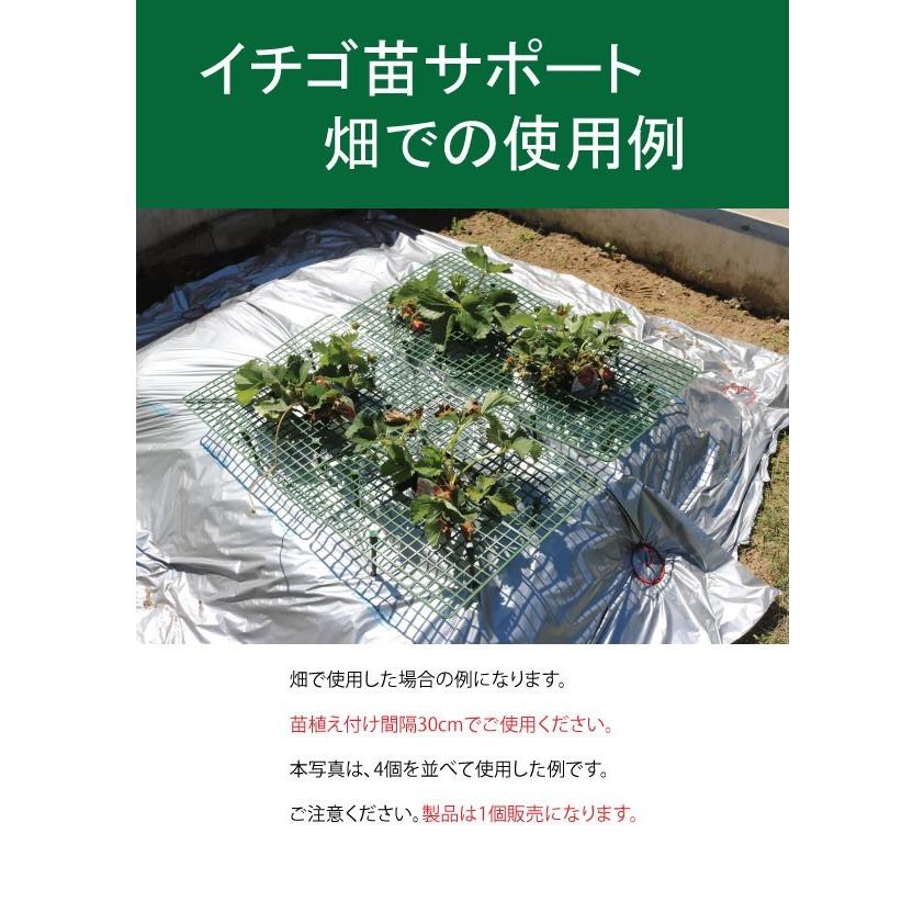 イチゴ支え・いちご棚・いちご支柱（いちご苗サポート） 10個セット