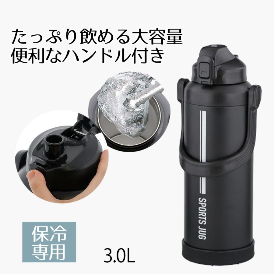 水筒 ステンレスボトル すいとう マグボトル ダブルステンレス
