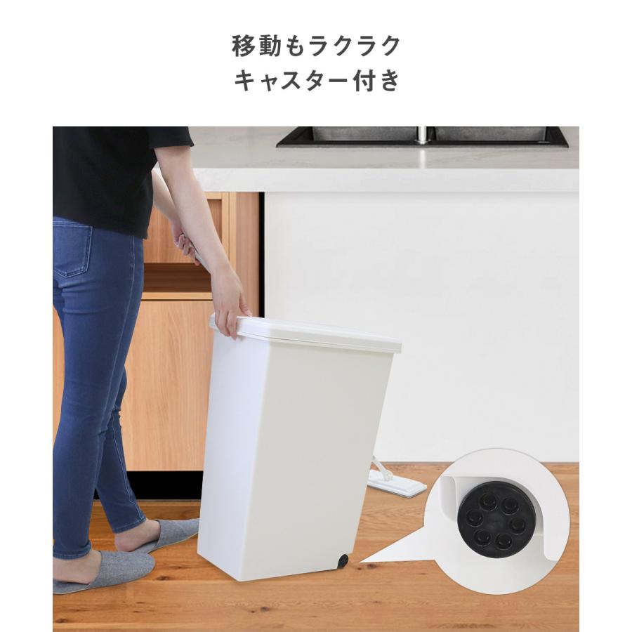 スライドペール 45L ゴミ箱 2個セット | ごみ箱 ダストボックス ゴミ