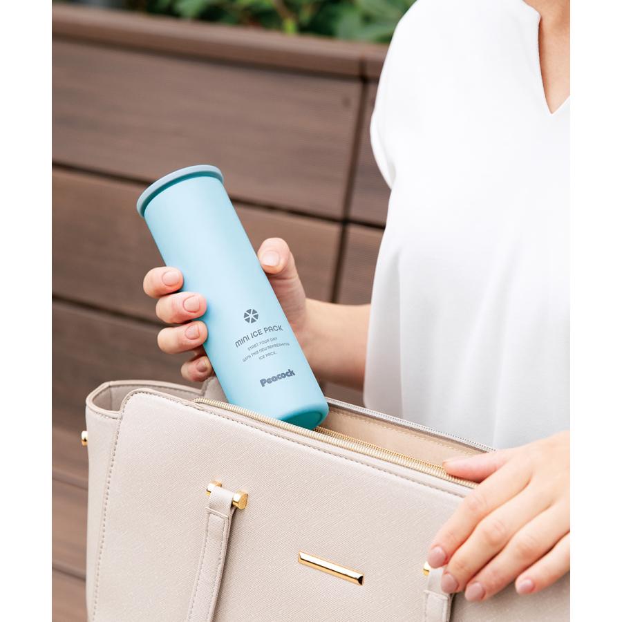 ミニ 氷のう ミニアイスパック ネッククーラー 保冷氷のう ABB