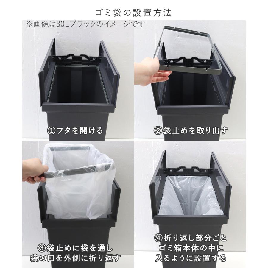エバン 両開き ペダルペール 40L ブラック アスベル 日本製 | ゴミ箱