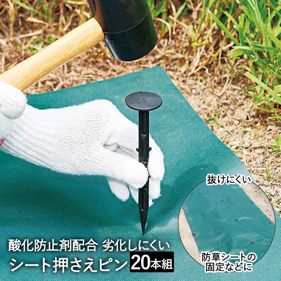 防草シートと止め金具のセット 雑草防止シート 防草シート シート 押えピン 20本組 コジット | ピン