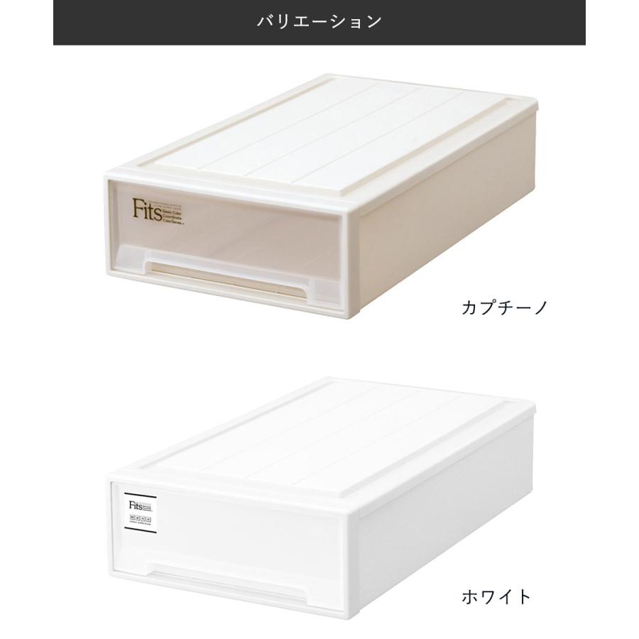 フィッツケース スリム L 2個セット 天馬 | 日本製 積み重ね 丈夫 収納