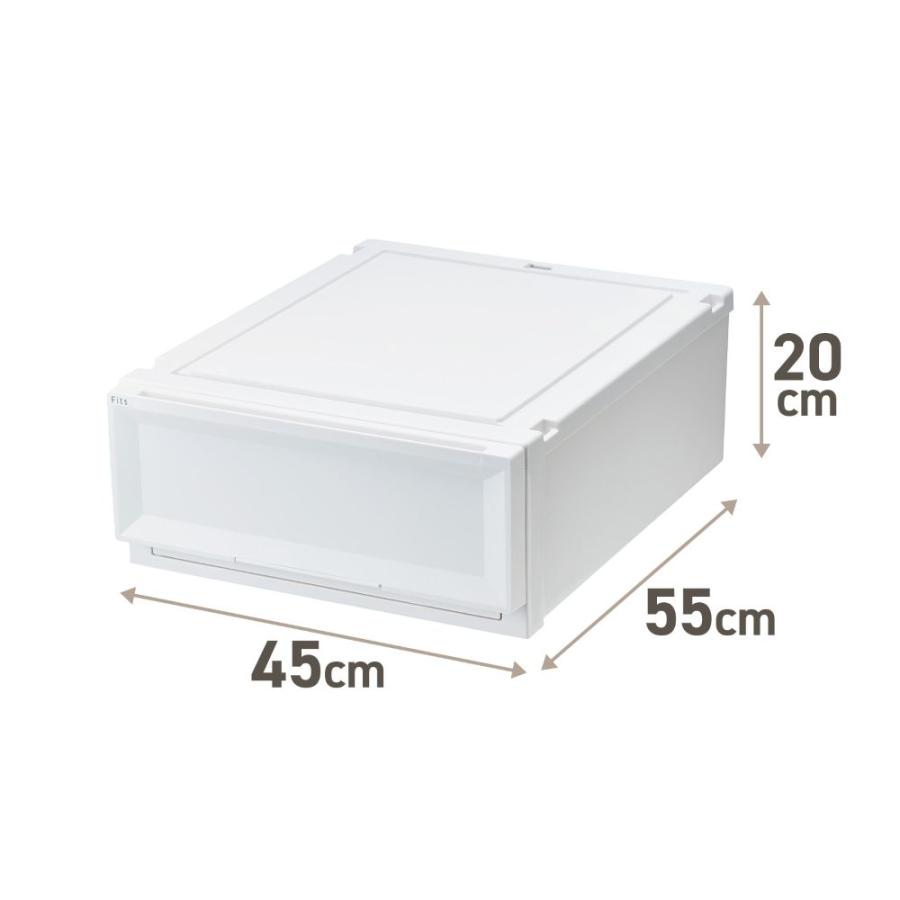 通販限定 2個セット 】天馬 収納ボックス フィッツケース アドバンス