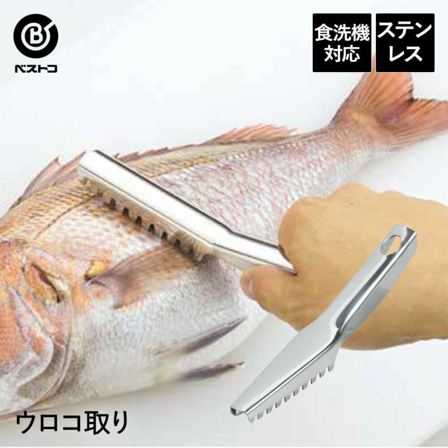 オールステンレス製 ウロコ取り 食洗機対応 | うろこが取れる うろこ取り 鱗取り うろことり 魚 魚鱗 捌く さばく うろこ 魚のうろこ取り ...