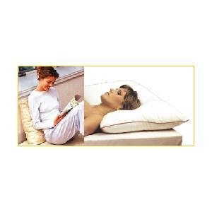 全ての 腰がふんわり浮いて楽なクッション ベルギーのヘルスケアレスト 内祝い Unreditora Unr Edu Ar