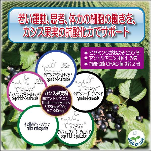 無添加JASオーガニック果実カシスパウダー 150g (50gパック×3ケ） 抗