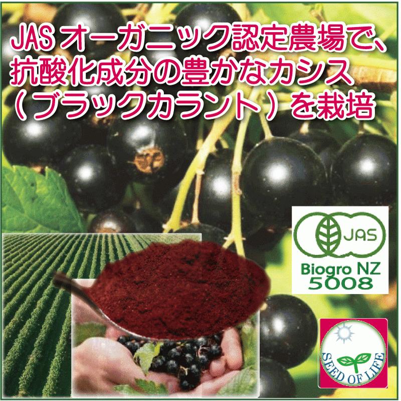 無添加JASオーガニック果実カシスパウダー 150g (50gパック×3ケ） 抗