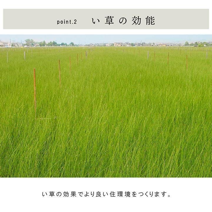 置き畳 ユニット畳 日本製 4層構造 「 ネイラル U畳 」 約70×70×3cm 9枚組 国産 い草 防炎 軽量 簡単 和室 へりなし 滑りにくい 底冷え軽減 (#8340140) 爆買_4