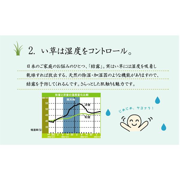 花ござ カーペット 国産 「 西条 」 江戸間4.5畳(約261×261cm) ベージュ(#4100154)い草 ラグ カーペット 畳 リビング イグサ 【夢】 イ草 花茣蓙