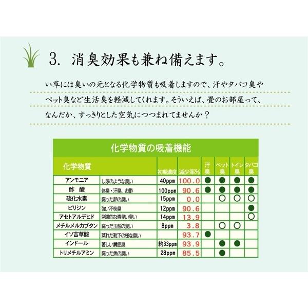 花ござ カーペット 国産 「 西条 」 江戸間4.5畳(約261×261cm) ベージュ(#4100154)い草 ラグ カーペット 畳 リビング イグサ 【夢】 イ草 花茣蓙