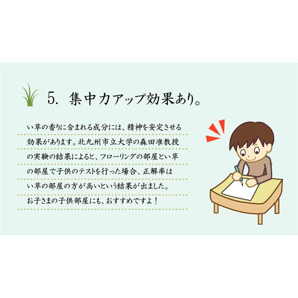 花ござ カーペット 国産 「 西条 」 江戸間4.5畳(約261×261cm) ベージュ(#4100154)い草 ラグ カーペット 畳 リビング イグサ 【夢】 イ草 花茣蓙