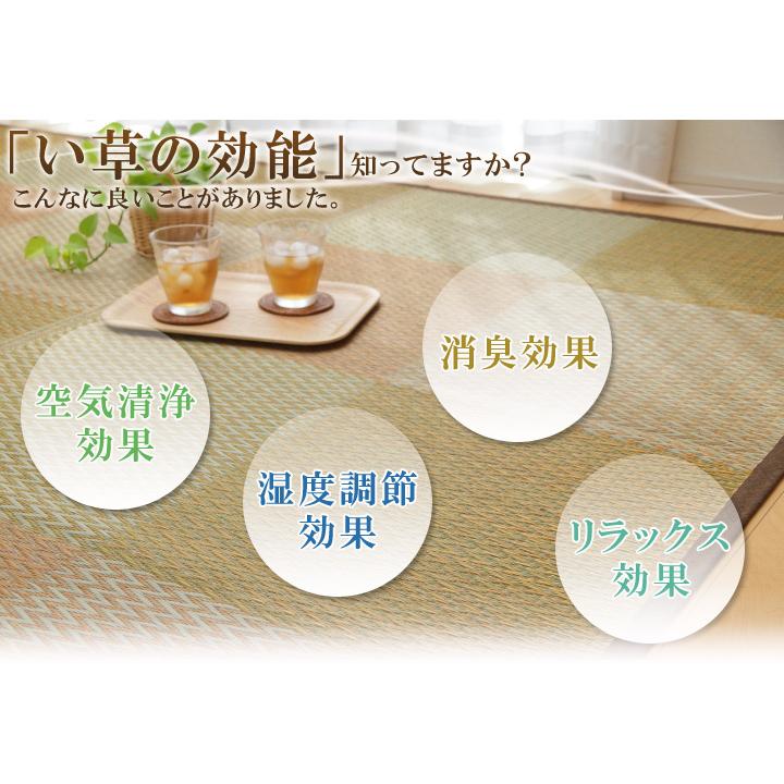 イケヒコ い草 ラグ 花ござ カーペット 「 ピーア 」 団地間6畳 （約