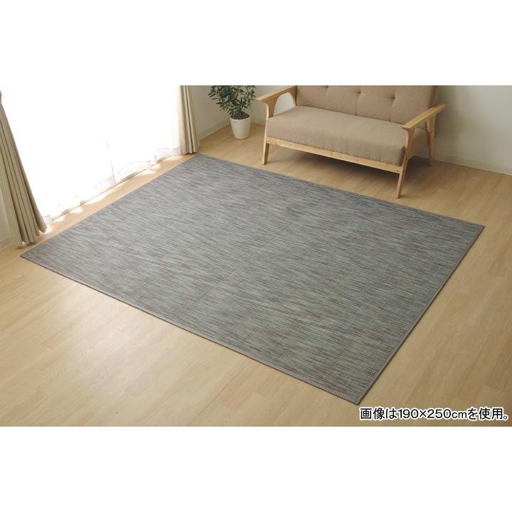 イケヒコ 竹 ラグカーペット 無地「 DXフォース 」約140×200cm