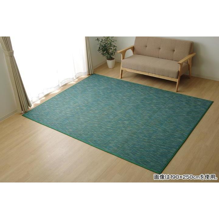 【特価セール】イケヒコ 竹 ラグ カーペット DXフォース 約140×200cm イケヒコ 竹 ラグカーペット 無地「 DXフォース 」約140×200cm