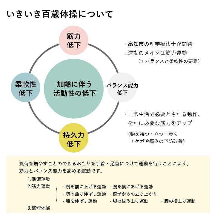 いきいき100歳体操用アンクル リスト ウエイト 2kg 2個 セット